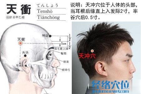 天沖穴的位置解剖分析圖