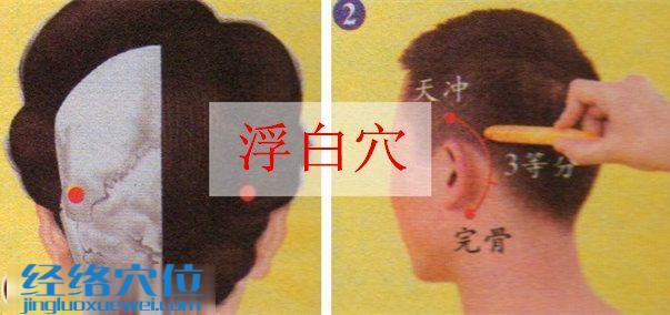 浮白穴的準確位置圖