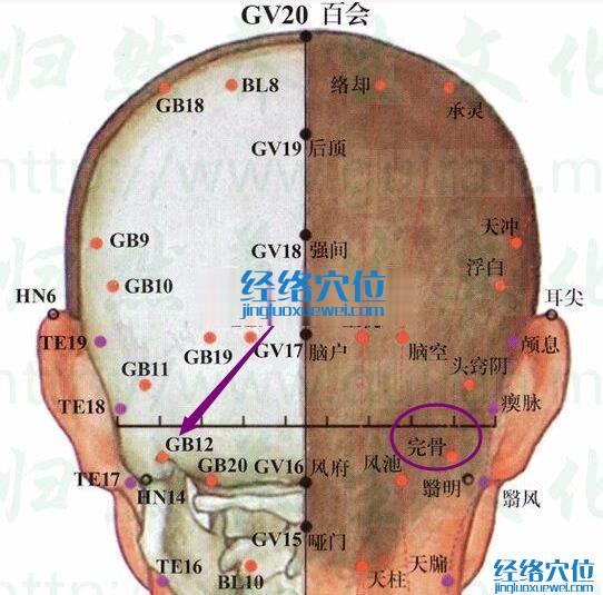 完骨穴的準確位置圖