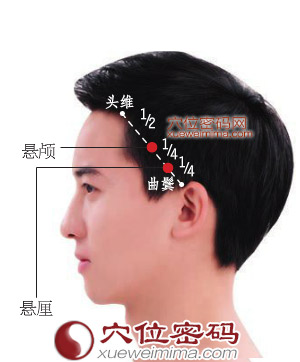 懸顱穴位位置圖 懸顱穴位位置圖