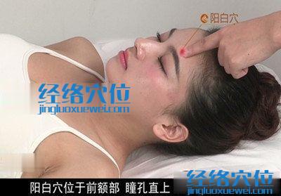 陽白穴位位置圖