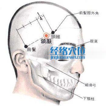 頷厭穴的位置解剖分析圖