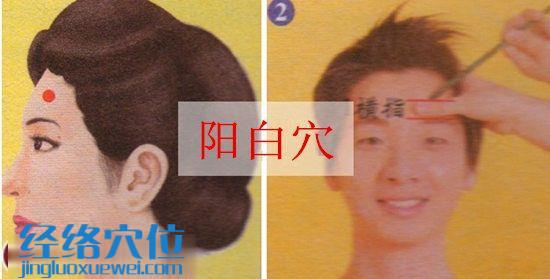 陽白穴的位置圖