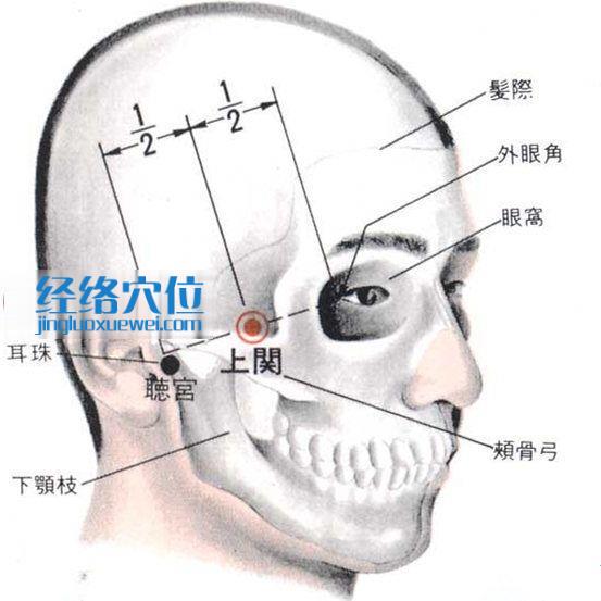 上關穴的位置解剖分析圖