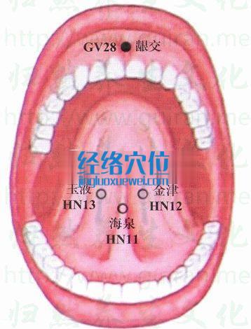 齦交穴的準確位置圖