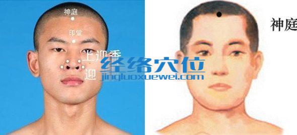 神庭穴的準確位置圖