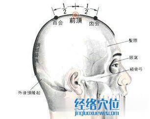 前頂穴的位置解剖分析圖