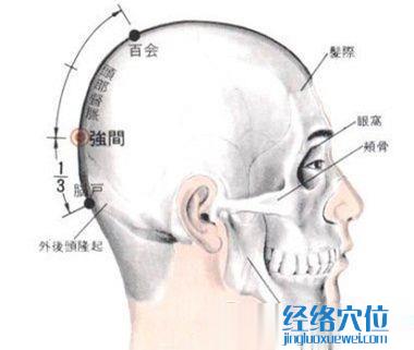 強間穴的位置解剖分析圖