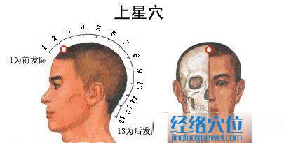 上星穴位位置圖