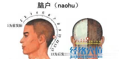 腦戶穴的準確位置圖
