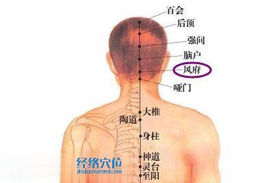 風(fēng)府穴位圖