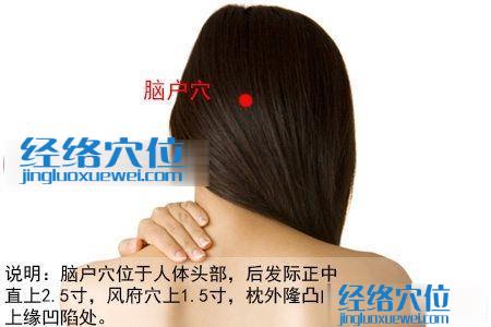 腦戶穴位圖