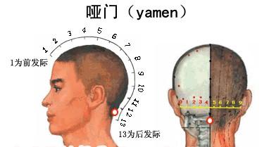 啞門穴的位置圖