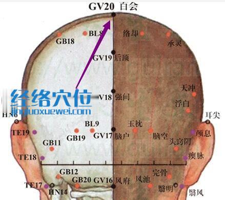 百會穴位位置圖
