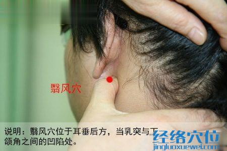 翳風穴位圖