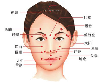 面部穴位圖解大全位位置圖