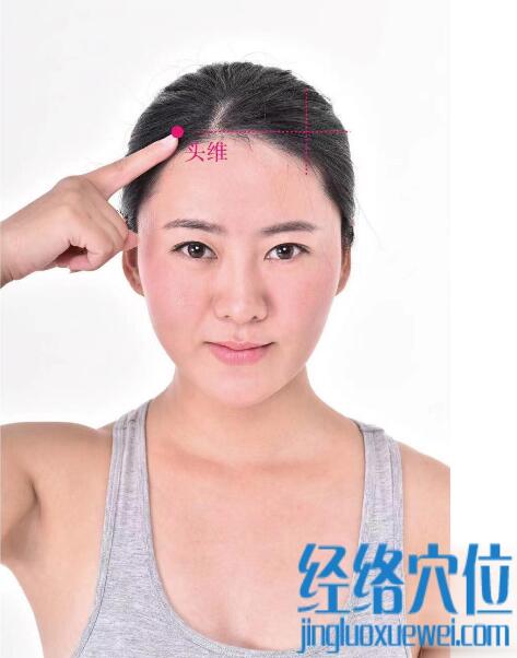 頭維的準確位置圖及功效視頻位位置圖