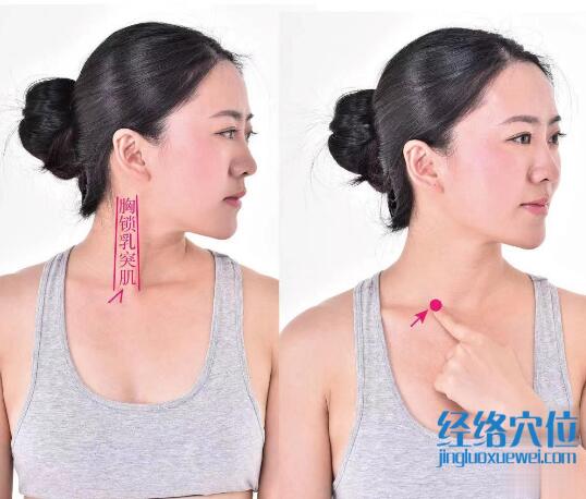 缺盆的準確位置圖及功效視頻位位置圖