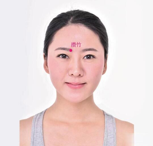 攢竹的準確位置圖及功效視頻位位置圖 攢竹的準確位置圖及功效視頻位位置圖