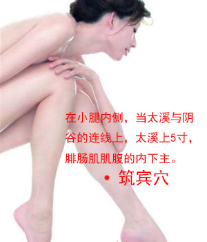 筑賓穴位位置圖 筑賓穴位位置圖