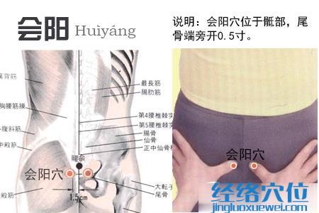 會(huì)陽(yáng)穴