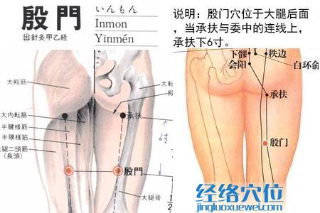 殷門(mén)穴