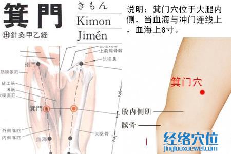 箕門(mén)穴位位置圖