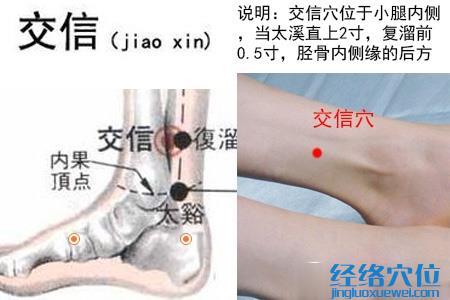 交信穴位位置圖 交信穴位位置圖