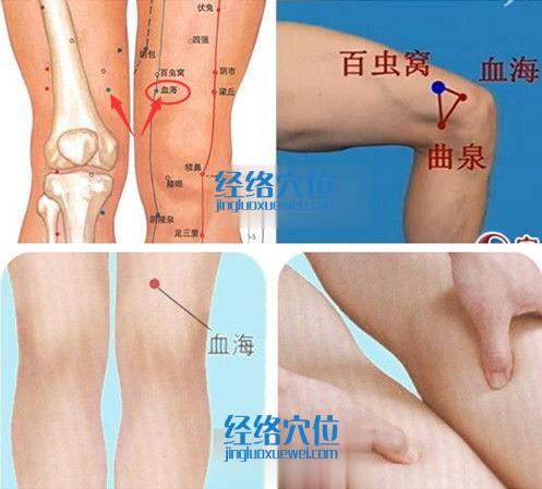 血海穴位位置圖（高清圖組）