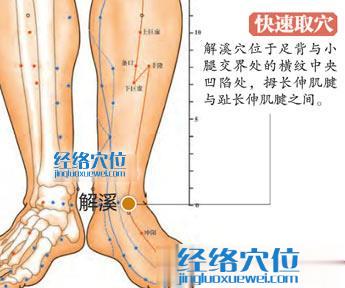 圖解解溪穴的準確位置圖