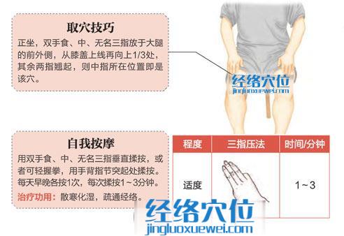 圖解伏兔穴的位置