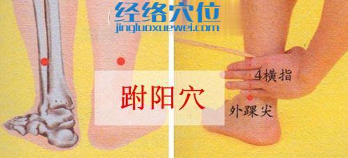 跗陽穴的取穴方法圖