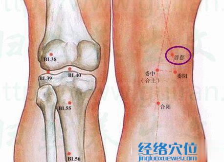 浮郄穴的準確位置圖