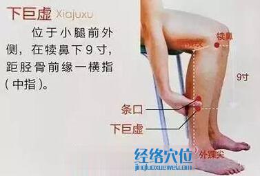 下巨虛穴