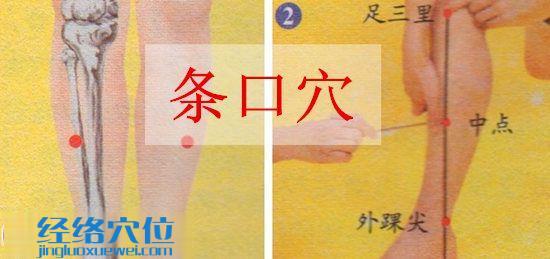 條口穴的準確位置圖