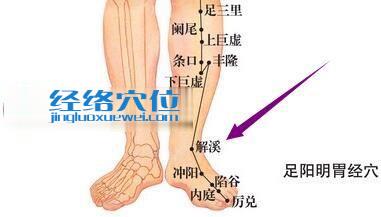 圖解足陽明胃經之解溪穴