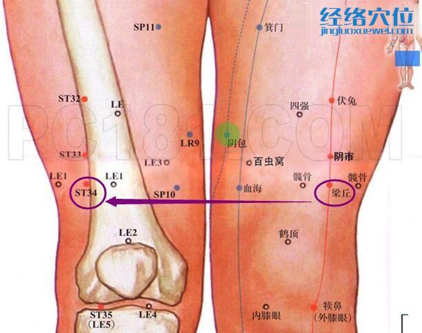 梁丘穴的準確位置圖