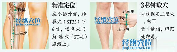 上巨虛穴的準確位置圖及取穴方法