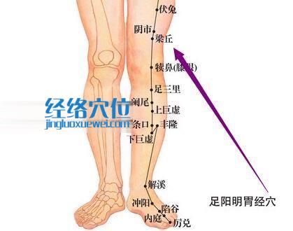 圖解足陽明胃經梁丘穴位圖