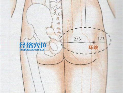 環(huán)跳穴的準(zhǔn)確位置圖