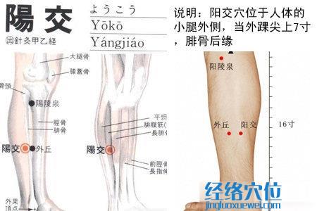 陽交穴位位置圖