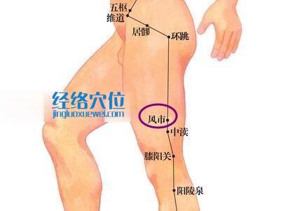 風市穴位圖