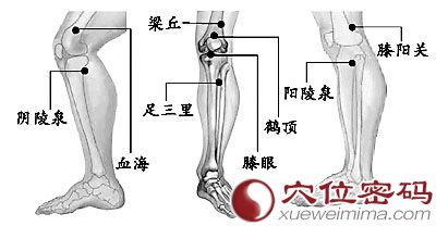 膝陽關穴相關配伍穴位圖