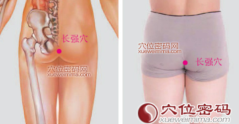 長強穴位位置圖
