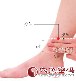 交信穴位位置圖 交信穴位位置圖