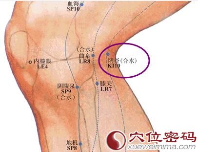 陰谷穴的位置