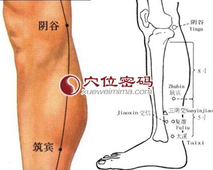 陰谷穴的準確位置圖