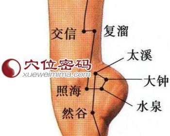 復溜穴、交信穴等位置圖
