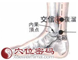 交信穴的位置解剖分析圖