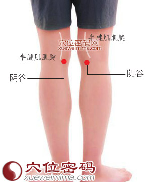 陰谷穴位位置圖 陰谷穴位位置圖